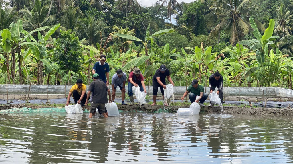 Kegiatan Penebaran Bibit Ikan Nila Sebagai Bagian Dari Program Ketahanan Pangan di Desa Mekar Bhuwana